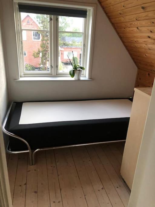 Hyggeligt Byhus Taet Ved Skov Og Togstation Ålbæk Eksteriør billede